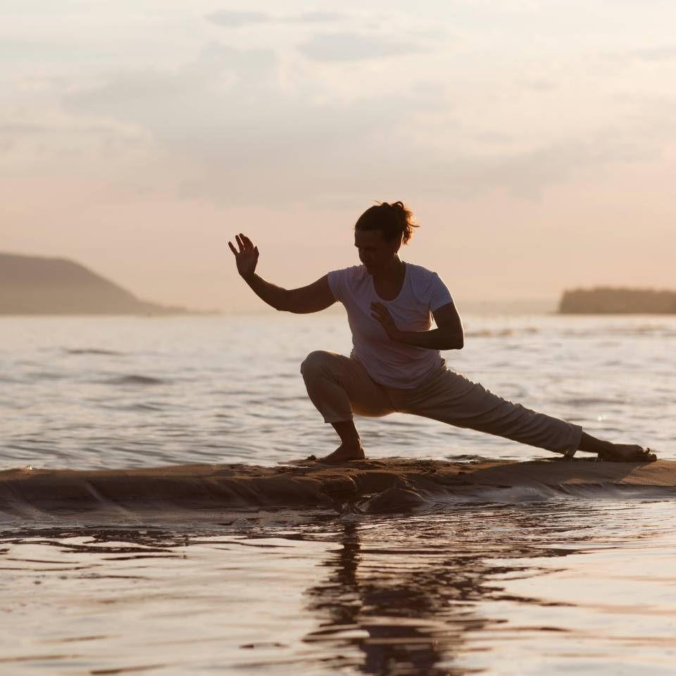 Qi Gong Christa Seibert
